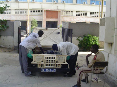Sénégalese Citroën Baby Brousse