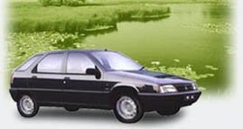 Fukang Citro�n ZX