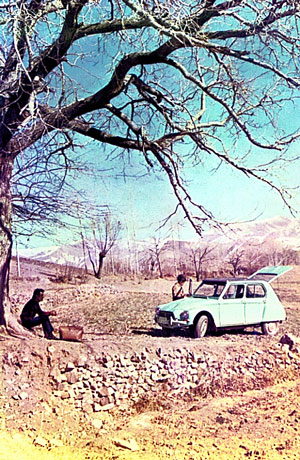 Iranian Saipac Citro�n
                                        Jiane 602