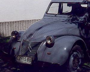 Citroneta
