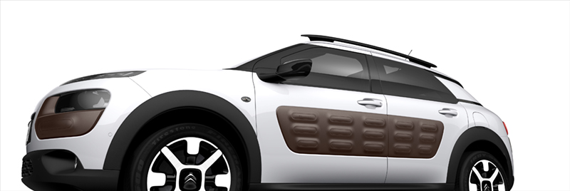 Citro�n
                                            C4 Cactus